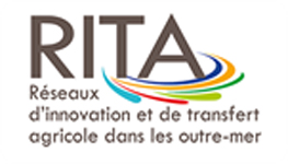 Logo rita